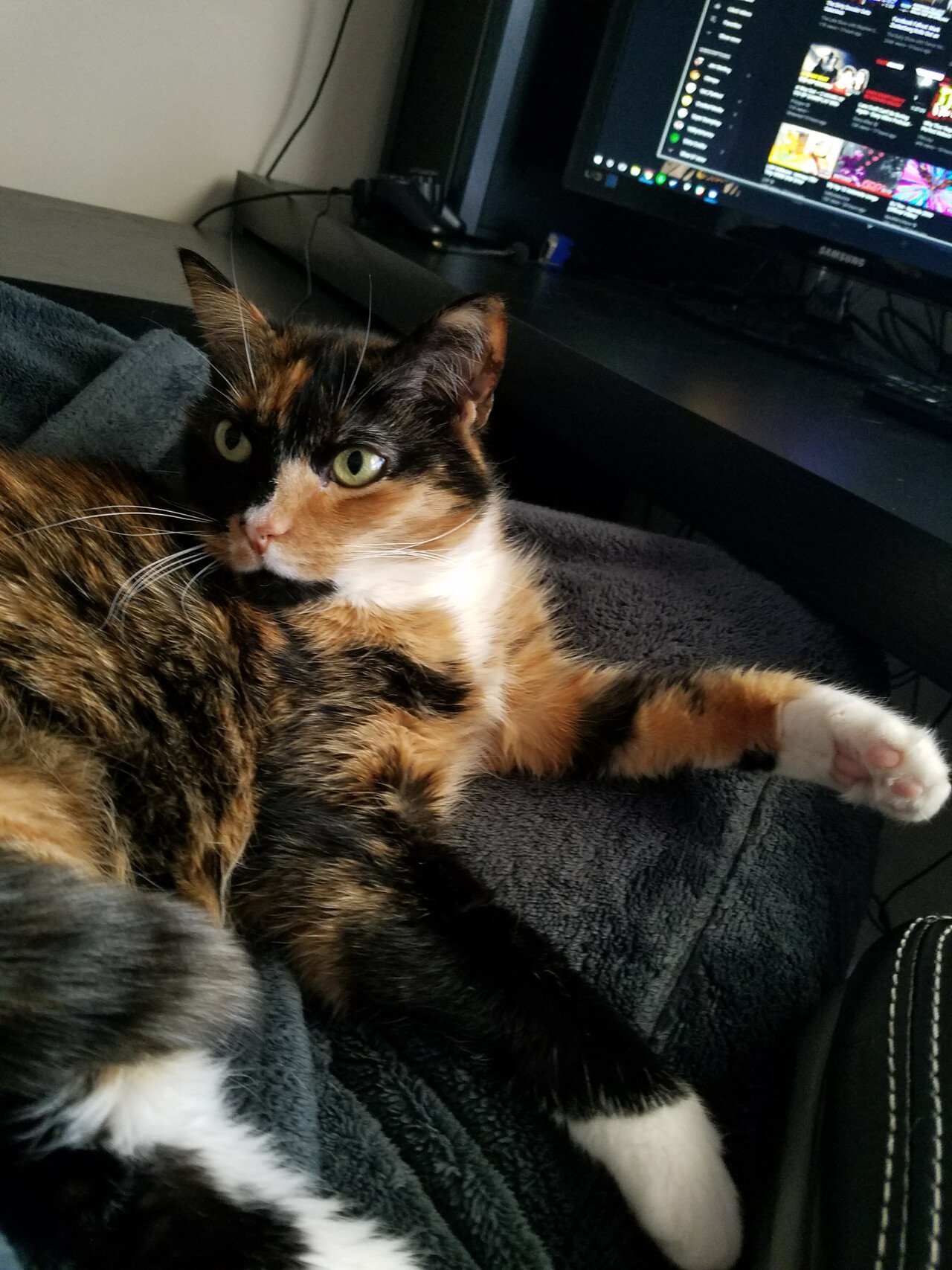 On my lap, as per protocol.